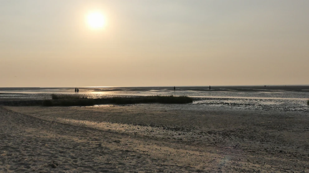 Meeresboden bei Sonnenuntergang im Weltnaturerbe Wattenmeer in Duhnen