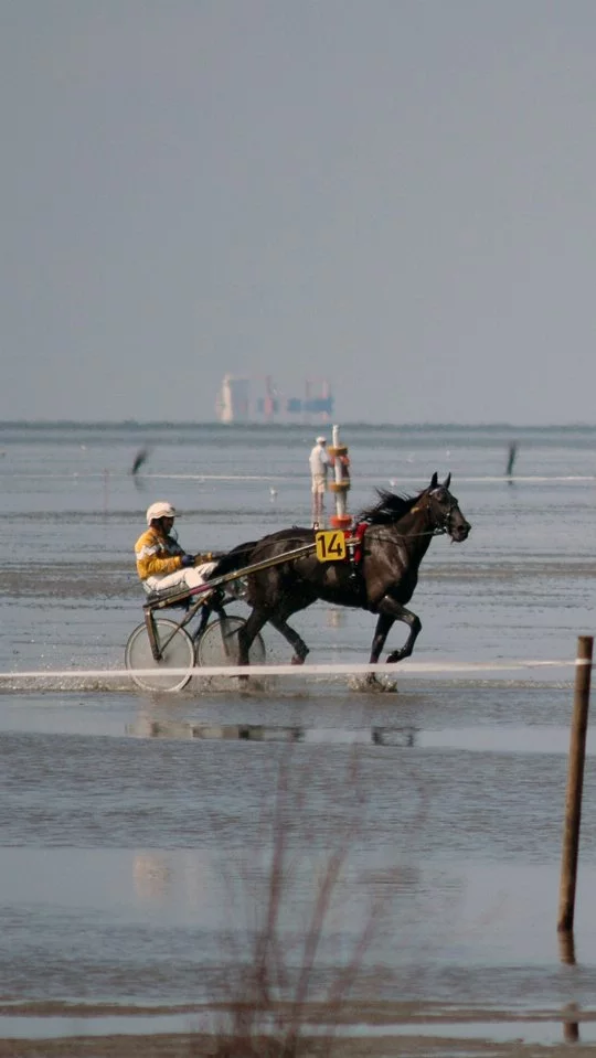 Duhner Wattrennen im Watt in Duhnen bei Cuxhaven