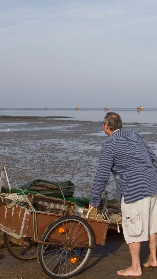Wattwanderungen und Wattwagenfahrten zur Insel Neuwerk und örtliche Fischer