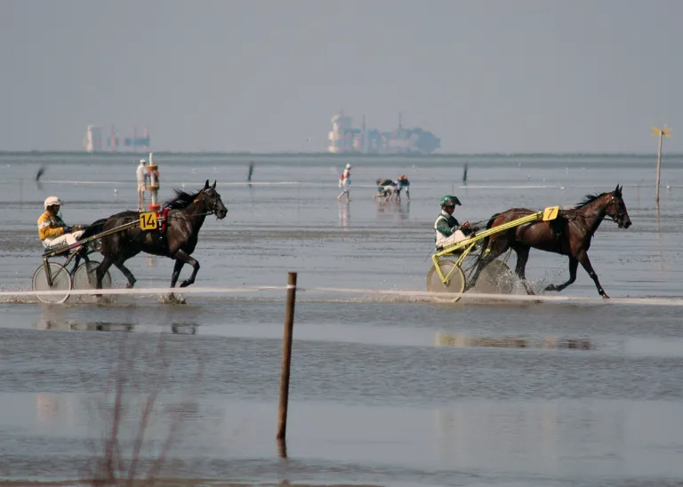 Duhner Wattrennen in Duhnen mit Blick vom Strand auf das Rennen bei Ebbe im Watt