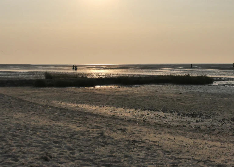 Erkunden vom Watt bei Ebbe am Strand in Duhnen bei Sonnenuntergang